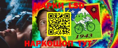 шишки Будённовск