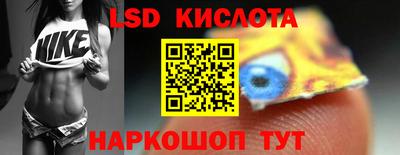 шишки Будённовск