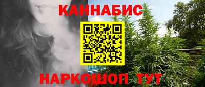 шишки Будённовск