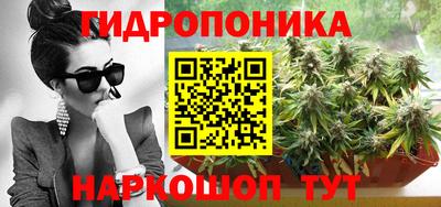 шишки Будённовск