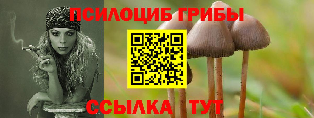 Псилоцибиновые грибы прущие грибы  Вход с VPN  Котовск 