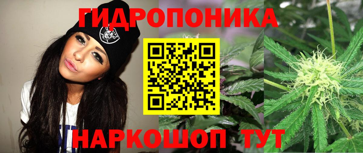 Бошки марихуана OG Kush Котовск